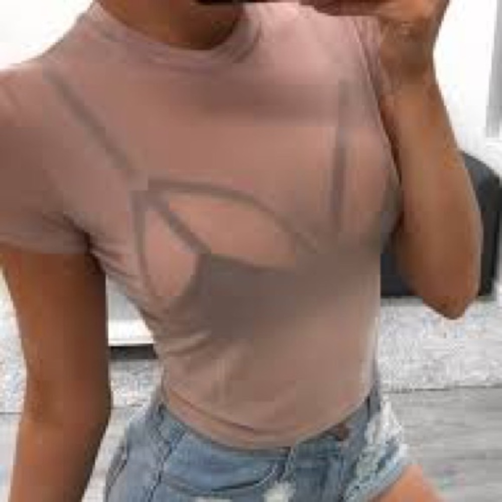 Mauve Pink Mesh Top